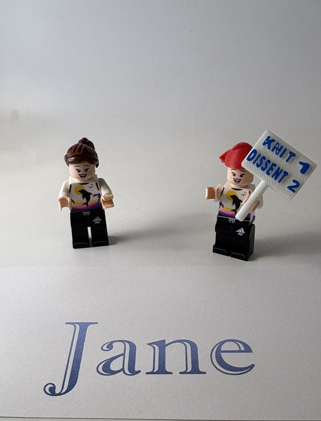 Mini Protest Figures