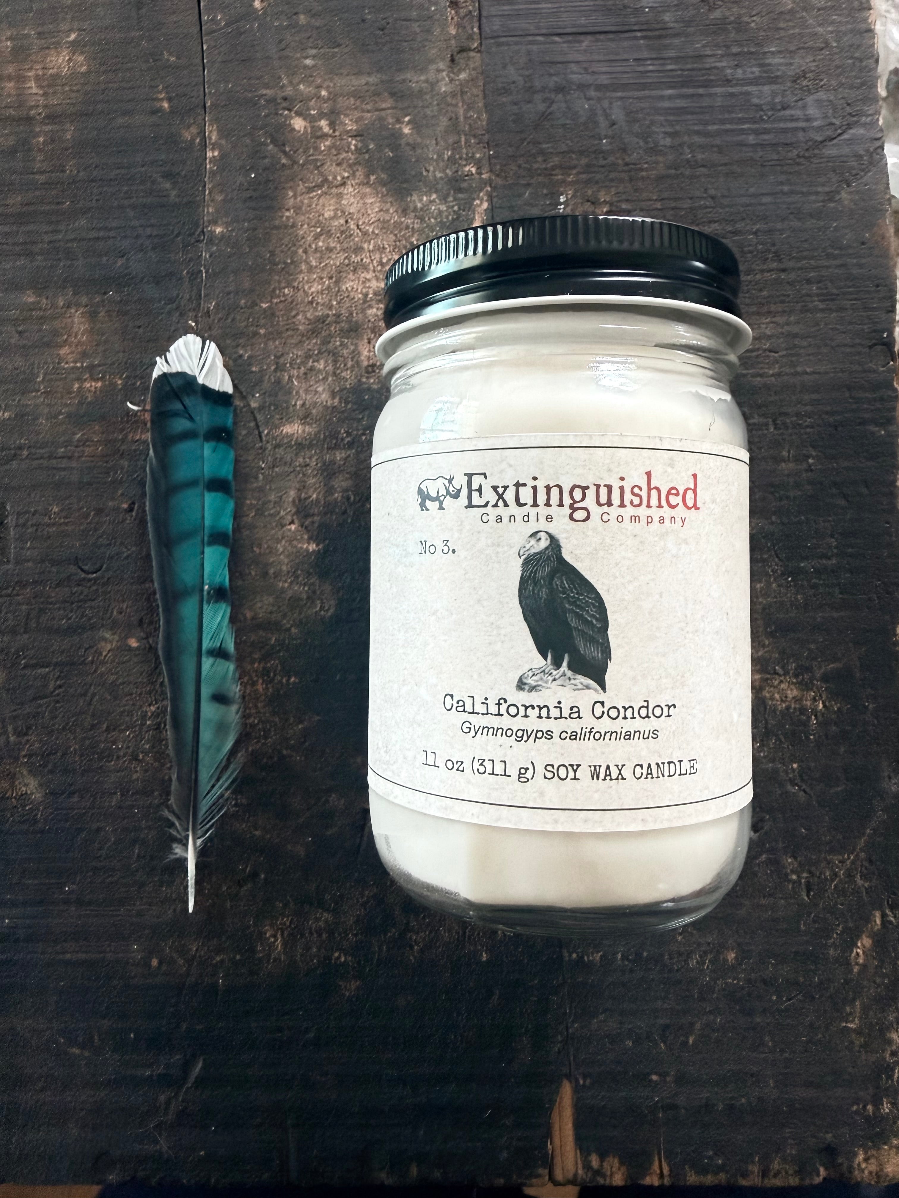 No 3. California Condor