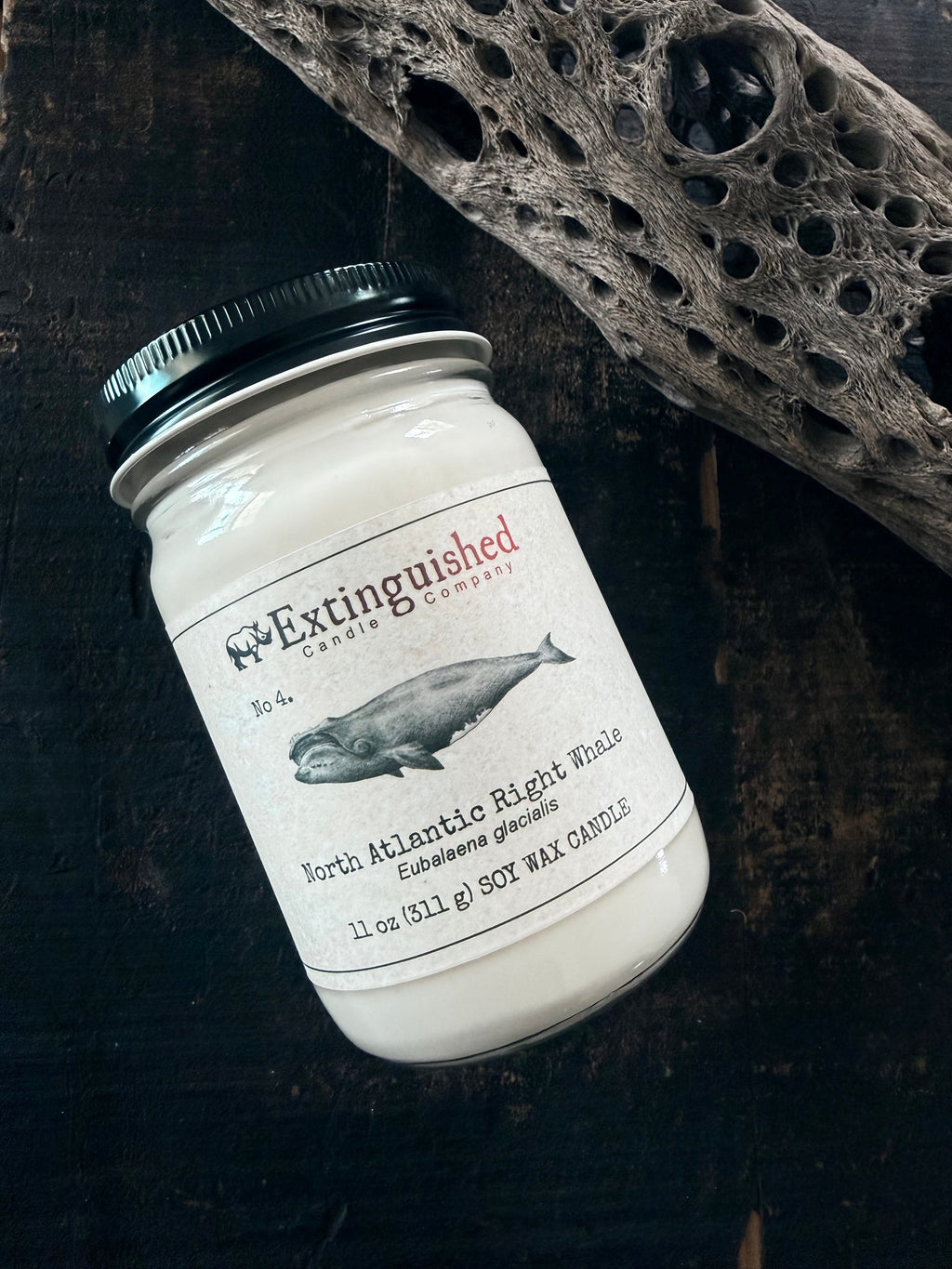 No 4. North Atlantic Right Whale